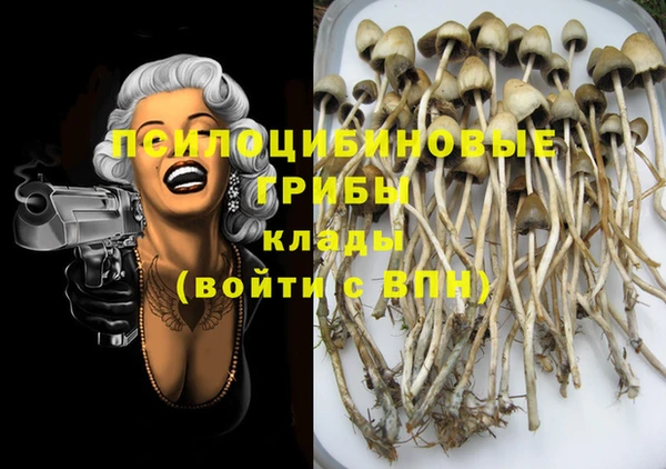 марихуана Коряжма