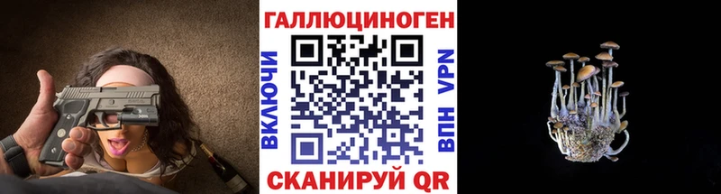 цены   Владикавказ  kraken маркетплейс  Галлюциногенные грибы Cubensis 