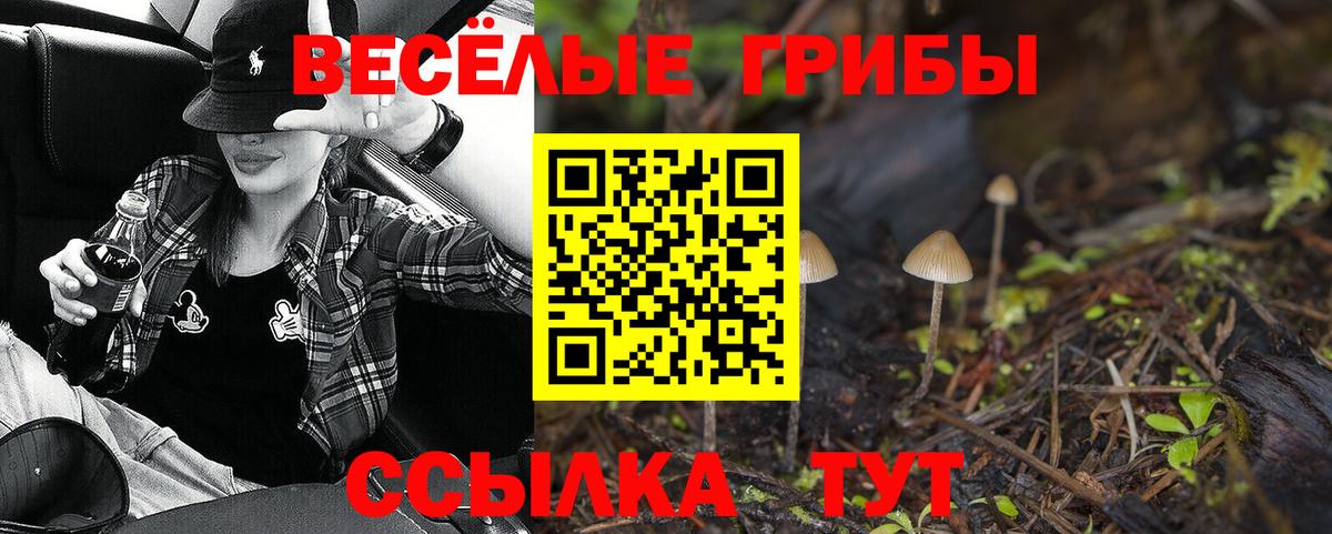 Псилоцибиновые грибы мицелий Владикавказ